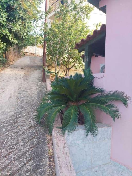 Βίλα Πασιθέα Kivérion Buitenkant foto
